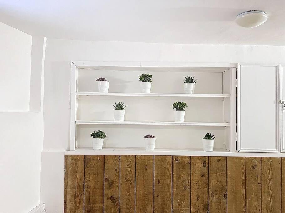 Appartement Isle-Sur-La-Sorgue LʼIsle-sur-la-Sorgue Eksteriør billede